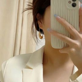 Picture of Alexander Wang Earring _SKUAlexanderWangearrings9lyr6012